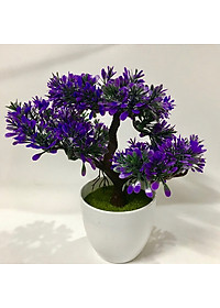 product-img-14