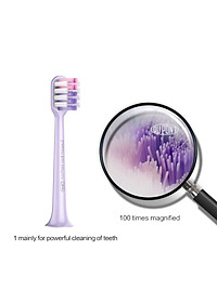 Đầu Bàn Chải Thay Thế DR.BEI BY-V12 3 Cái /Gói | Lông Toray Nhật Bản | Chứng Nhận FDA - Hàng Chính Hãng