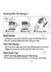 Combo 5 Hộp Trà Xanh Lá Dứa  Duy Trì Được Sự Trẻ Hoá ( 20 Túi Lọc X 2gr)- Nguyên Thái Trang – Thảo Dược Thiên Nhiên – Tốt Cho Sức Khỏe