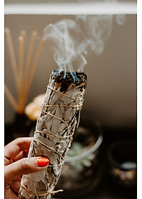 Combo 1 bó tuyết tùng 10cm và 1 thanh palo santo trắc xanh 10cm 5gr (Combo05)