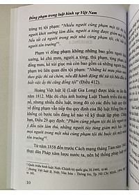 Đồng phạm trong luật hình sự Việt Nam