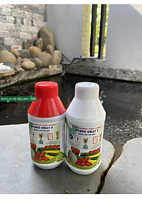 product-img-2