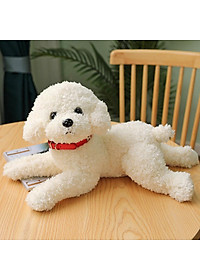 product-img-7