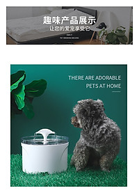 product-img-4