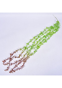 product-img-9
