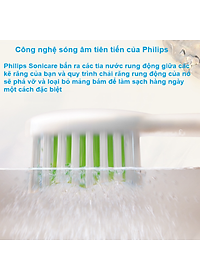 product-img-8
