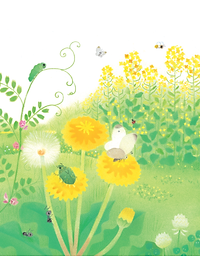 Sách - Gà con và hoa hướng dương