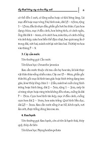 product-img-11