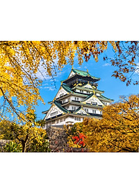 Bộ tranh xếp hình cao cấp 500 mảnh ghép – Lâu Đài Osaka, Nhật Bản (40x50cm)