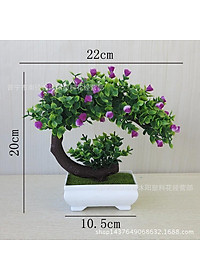 product-img-5