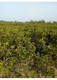 product-img-11