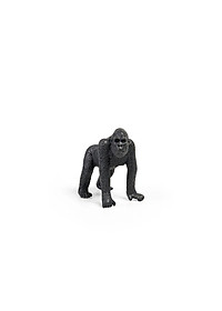 product-img-10
