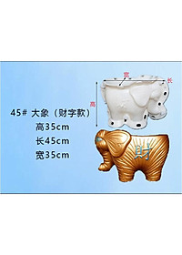 product-img-5