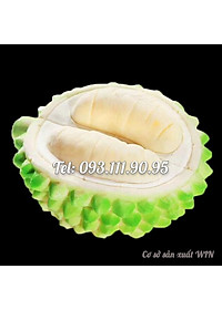product-img-3