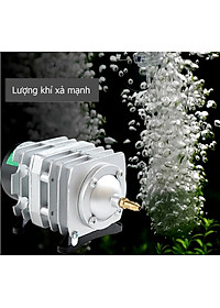 Máy sục sủi thổi khí oxy hồ bể cá cảnh 25W - 45L/P chất lượng cao,công suất mạnh, tiết kiệm điện