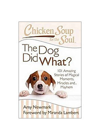 Chicken Soup For The Soul: The Dog Did What?: 101 Amazing Stories Of Magical Moments, Miracles And… Mayhem