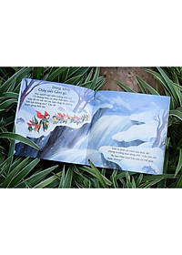 product-img-6