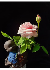 Tượng chú tiểu cưỡi cá chép - trồng cây, cắm hoa để bàn