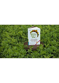 product-img-1