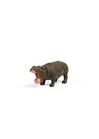 product-img-16