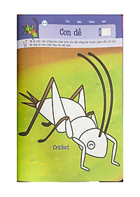 product-img-8