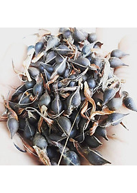 cây giống Trầm Hương (dó bầu) f1 thuần chủng