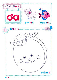 product-img-5