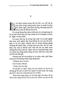 product-img-11