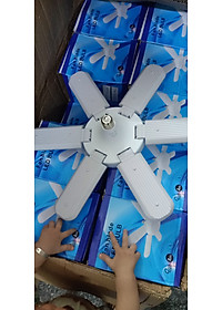 product-img-1