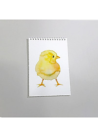 product-img-5