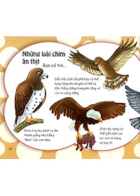 Sách Những Điều Kỳ Thú - Thú Vị Các Loài Chim