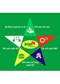 Bổ Thần Kinh PQA Hỗ Trợ Kiện Tỳ An Thần, Giảm Các Triệu Chứng Suy Nhược Thần Kinh Hộp 12 Gói