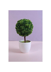 product-img-11