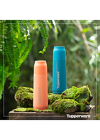 Bình giữ nhiệt Tupp Buddy 520ml TUPPERWARE CHÍNH HÃNG