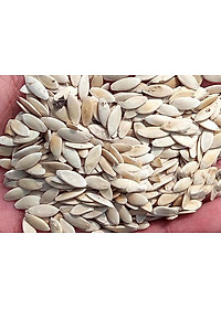 Bộ 2 Gói Hạt Giống Dưa Leo Nhật F1 PN-15 Phú Nông (0.5g / Gói)