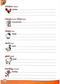 product-img-6