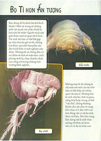 Sách Những Loài Bọ Phá Kỷ Lục - Bọ Tí Hon Ấn Tượng