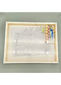 Tranh sơn dầu số hóa tự tô màu theo số cô gái hoa rơi lệ AN4008