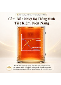 product-img-12