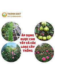 [Quà Tặng] Kích thích ra rễ cực mạnh ROOTKING lọ 20ml, dùng giâm chiết cành, kích rễ, hàng công ty