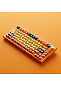 product-img-6