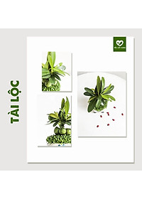 product-img-3