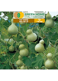 Hạt Giống Bầu Hồ Lô Greenhome, Gói 1g, Dễ Trồng Quanh Năm, Nảy Mầm Cao, Thu Hoạch Nhanh, Năng Suất Cao T11