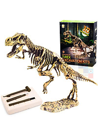 [Có sẵn] Mô hình Khủng Long hóa thạch - truy tìm dấu vết hóa thạch