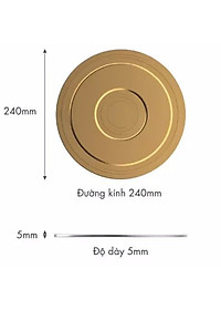 Đĩa Chuyển Nhiệt bếp từ Visions VS-IND-24LP/GD Hàng Pháp