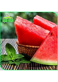 Hạt giống Dưa Hấu Rado 331 (10 hạt) trái to, dài, ruột đỏ, ngọt, kháng sâu bệnh, trồng quanh năm - Hạt giống Rạng Đông