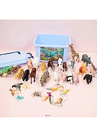 product-img-5