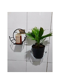 Kệ Treo Trang Trí Hình Bán Nguyệt Dán Tường Tiện Dụng ,Giá Treo Chậu Hoa Ban Công Phòng Khách- Phong Cách Hiện Đại- Chính Hãng MINIIN