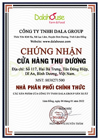 Bột gừng hữu cơ sấy lạnh Dalahouse 50gr - Nguyên màu, nguyên mùi, nguyên vị - Tiện dụng, không tốn công bóc vỏ, giã đập, say nghiền, rửa đồ nghề chế biến