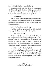 product-img-10